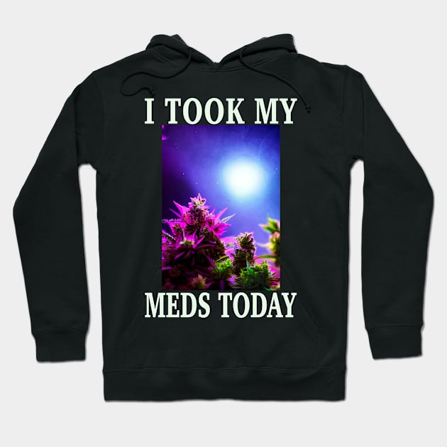 I Took My Meds Today Marijuana Funny Weed Cannabis Sayings Hoodie by aditchucky